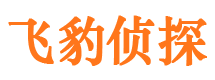 海南区外遇调查取证